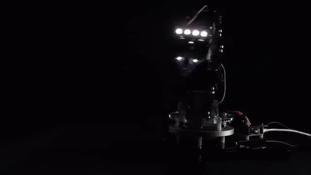Maximo Robot Arm
